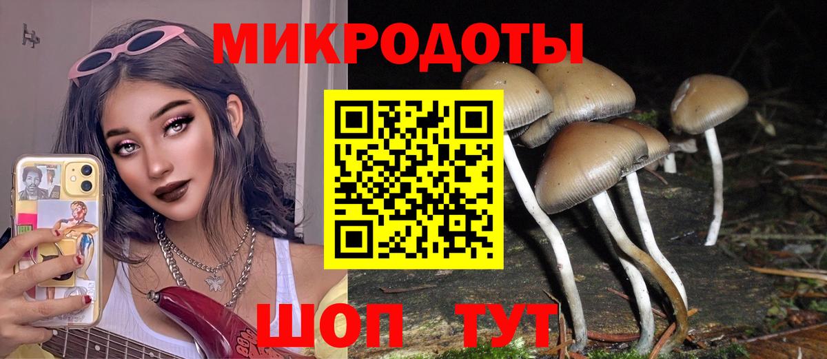 Галлюциногенные грибы MAGIC MUSHROOMS  Псилоцибиновые грибы ЛСД  Вход с VPN  Иваново 
